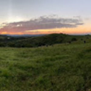 Meet your Posher, Zoe